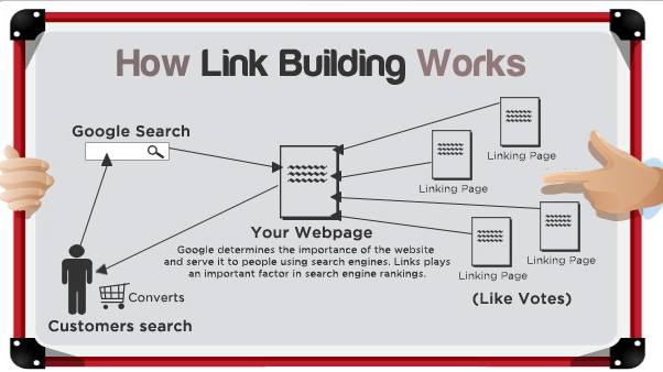 Proven Results of Link Building: What the Data Actually Shows